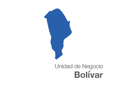 Unidad Bolivar