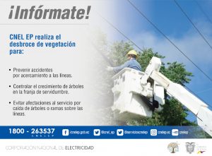 CNEL EP realiza desbroce de vegetación para prevenir accidentes e interrupciones del servicio