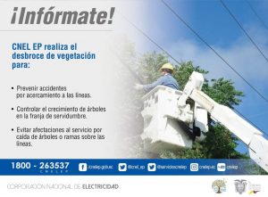 Desbroce de vegetación en Eloy Alfaro y Atacames para prevenir accidentes e interrupciones del servicio