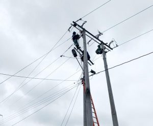 Sector camaronero de El Oro con nueva red eléctrica