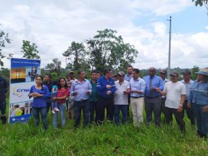Nueva obra eléctrica en la zona rural