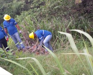 CNEL EP atendió falta de iluminación debido a intento de robo de cables subterráneos, en Esmeraldas