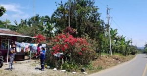 Obras de electrificación benefician a más bolivarenses