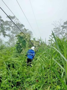 Fuertes lluvias provocan daños en red eléctrica