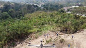 90% de la suspensión del servicio eléctrico originan árboles que topan las líneas