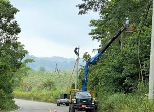 CNEL EP REFUERZA EL DESBROCE DE VEGETACIÓN PARA GARANTIZAR EL SERVICIO ELÉCTRICO